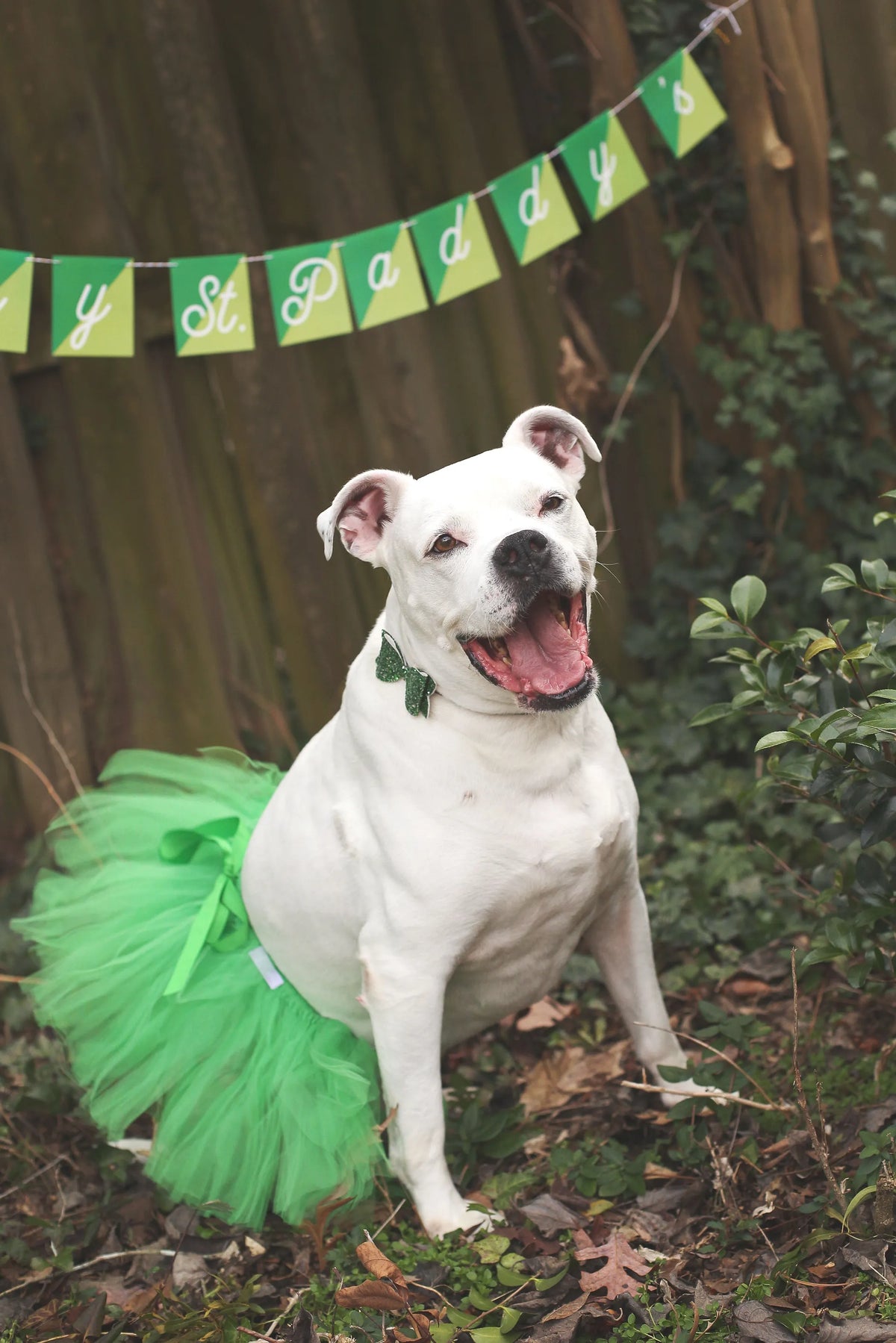 Tutú Navideño Verde y Rojo para Perros