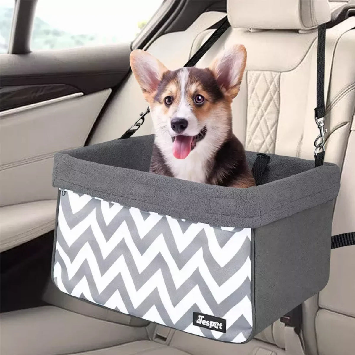 Asiento Elevado para Perros en el Carro