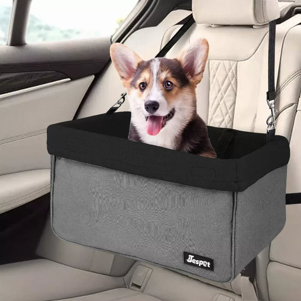 Asiento Elevado para Perros en el Carro