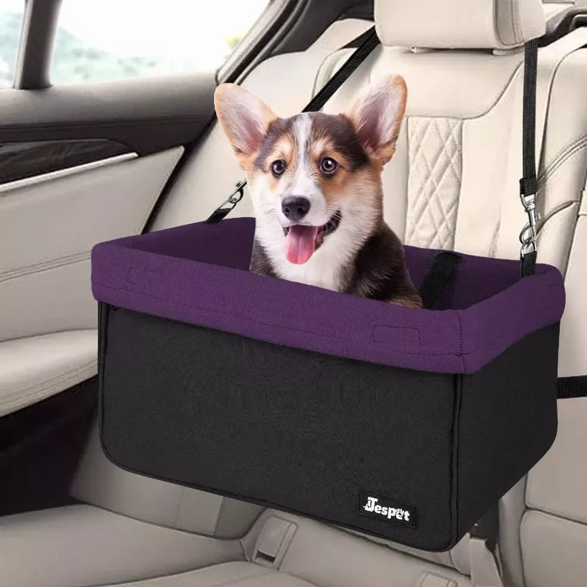 Asiento Elevado para Perros en el Carro