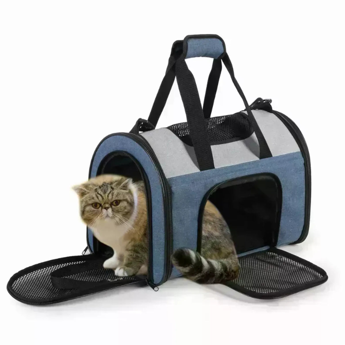 Bolso Transportador para Mascotas Aprobado para Aerolíneas