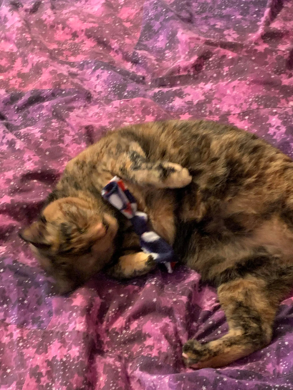 Corbatines de Catnip (Paquete de 3)