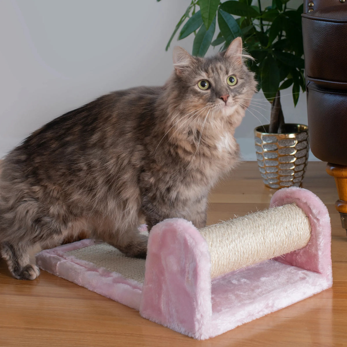 Rascador Rodante de Sisal con Peluche para Gatos
