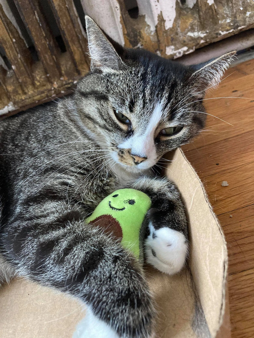 Juguetes con Catnip: Aguacate, Guineo y Soga de Sisal