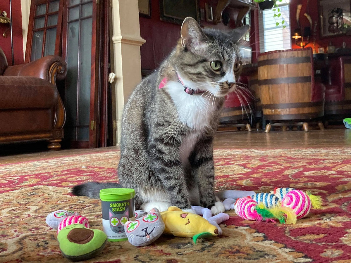 Juguetes con Catnip: Aguacate, Guineo y Soga de Sisal