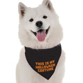 Bandana "Este es mi Disfraz de Halloween"