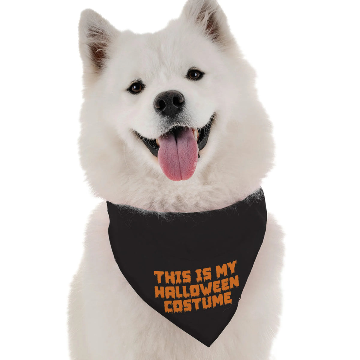 Bandana "Este es mi Disfraz de Halloween"