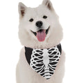 Bandana Disfraz de Esqueleto