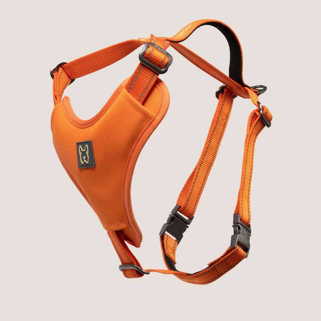Arnés Deportivo de Neopreno para Perros