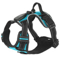 Arnés con Luces LED Recargable para Perros