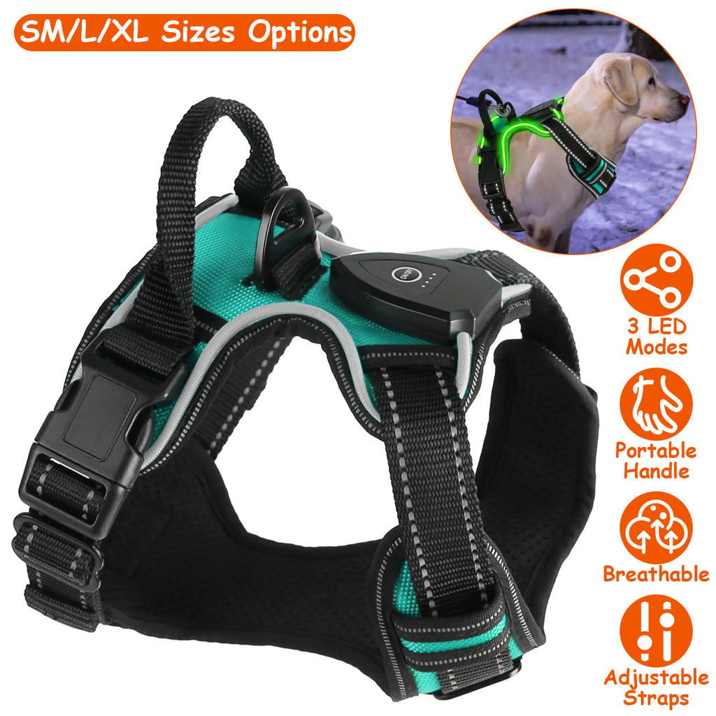 Arnés con Luces LED Recargable para Perros