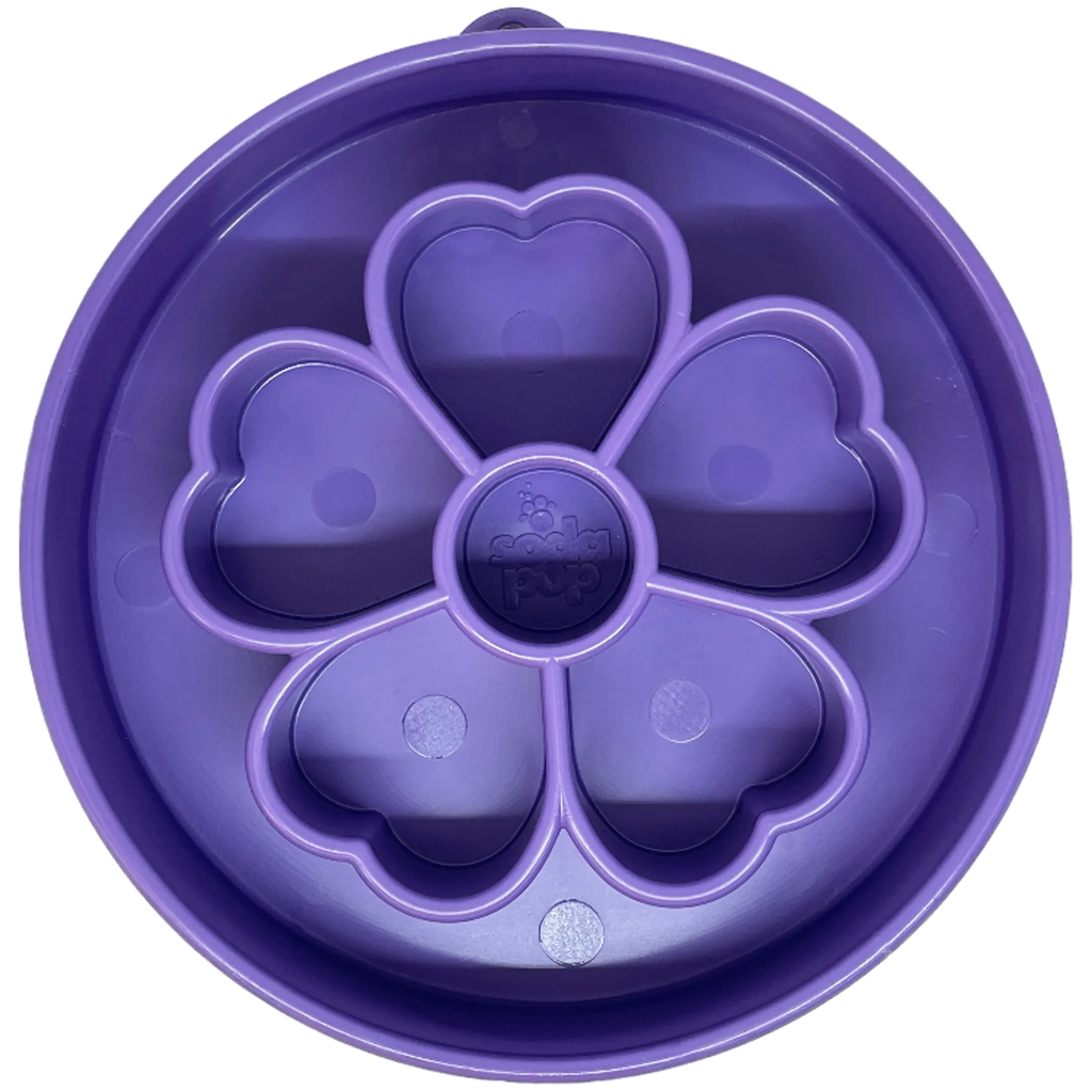 Plato Comedero Lento Flor – Pawtique
