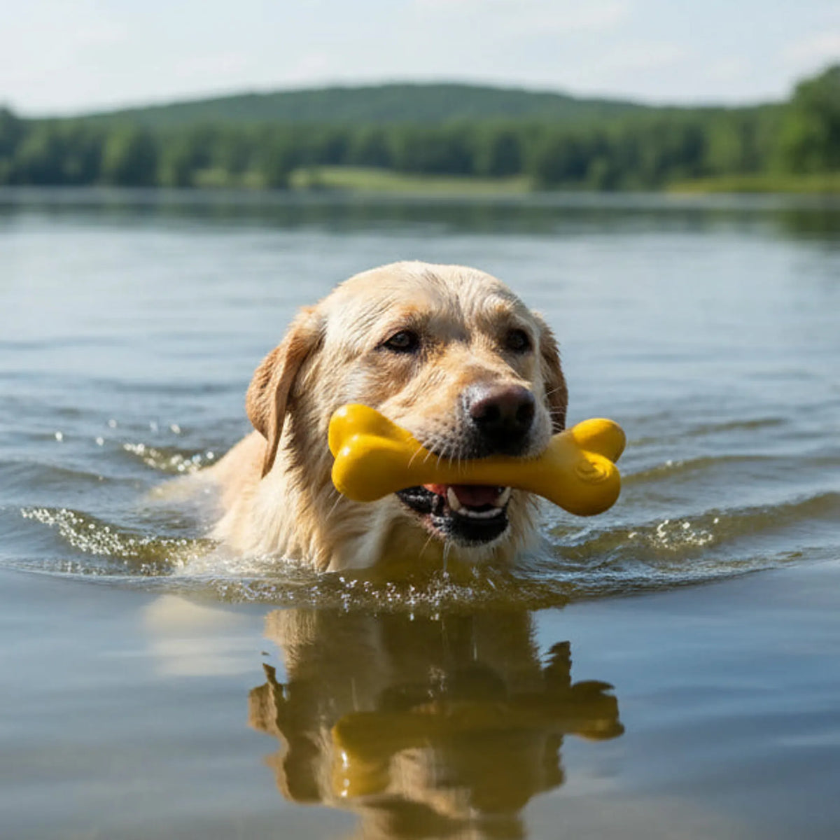 Hueso de Goma PUP-X que Flota – Pawtique