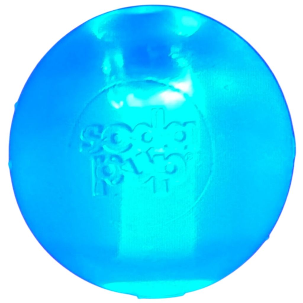 Bola con Luces LED que Flota – Pawtique