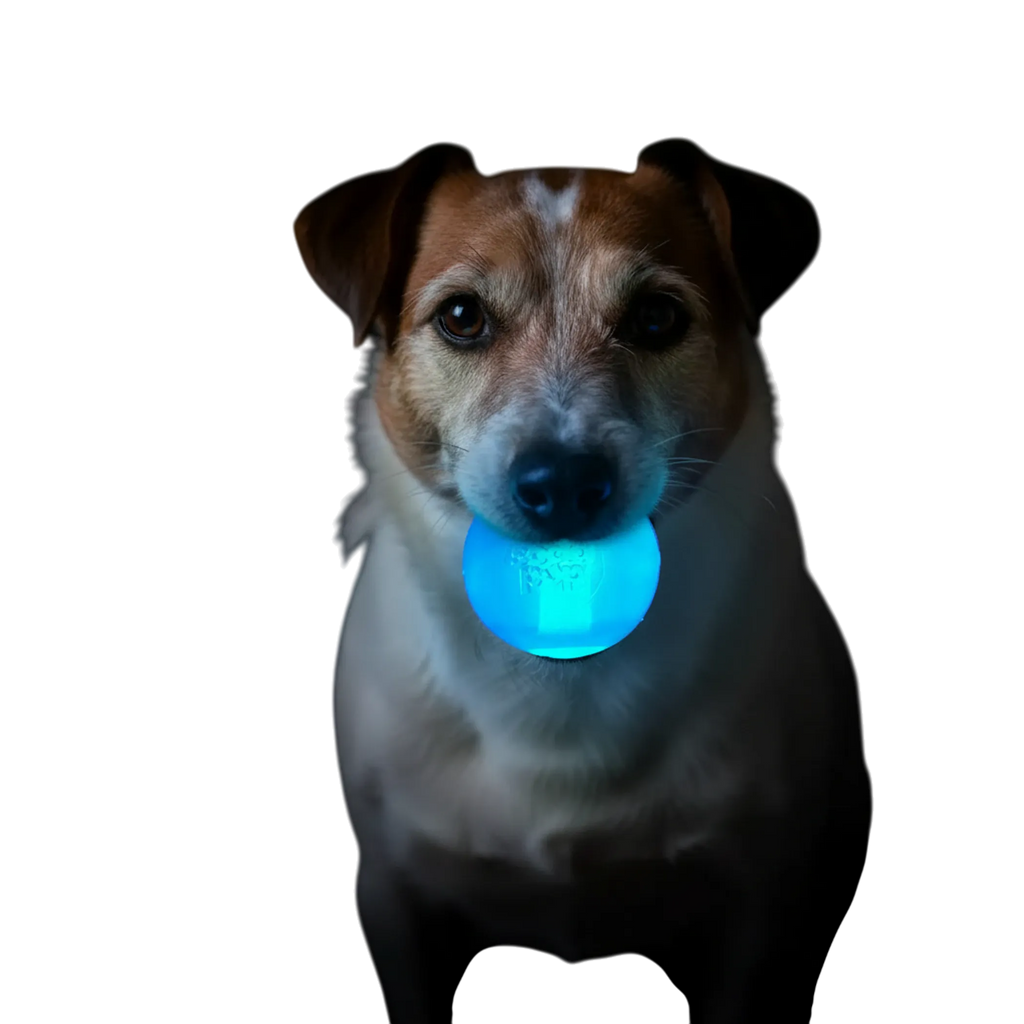 Bola con Luces LED que Flota