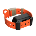 Collar de Entrenamiento Resistente – Hoss Straps