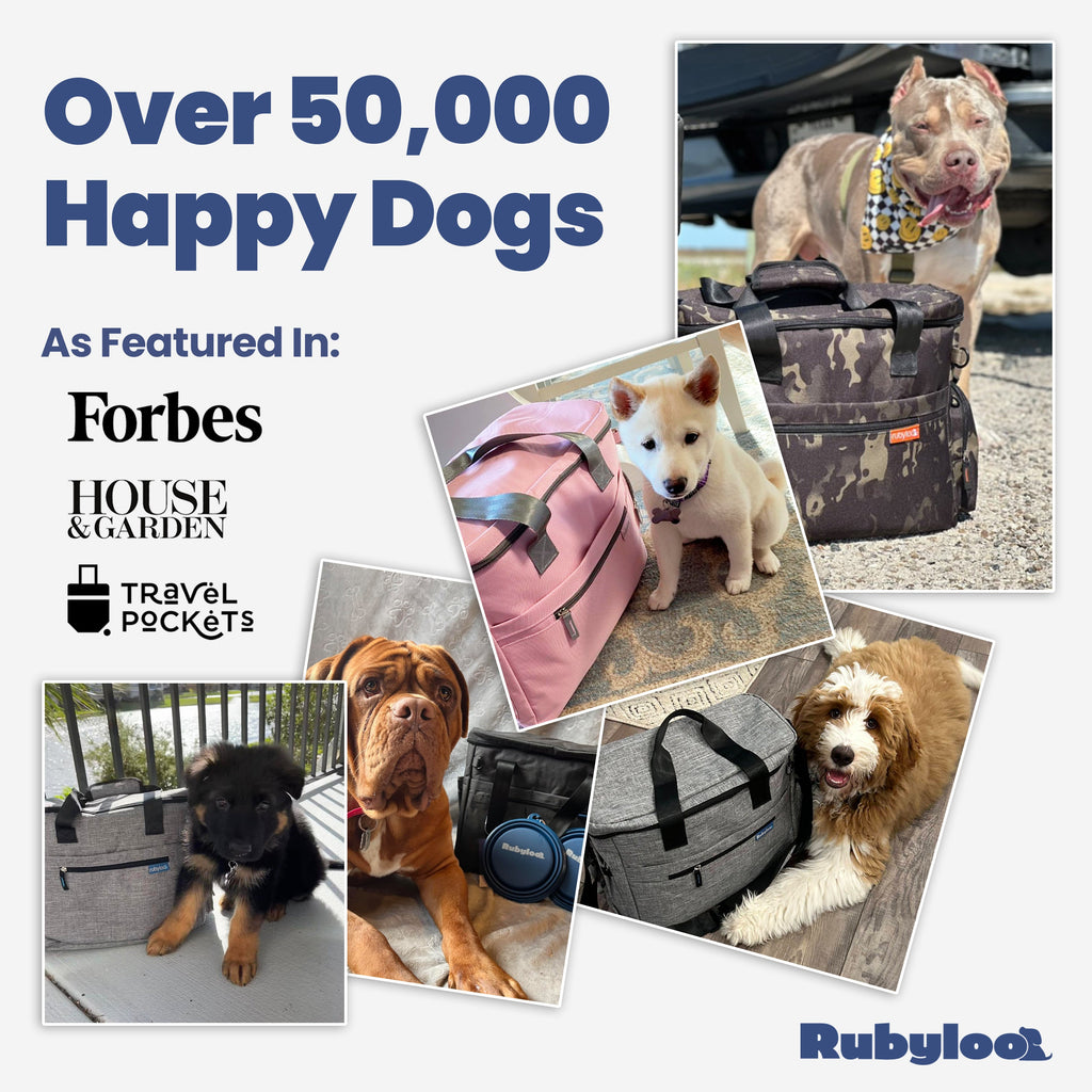 Bolso de Viaje para Perros The Original Doggy Bag®