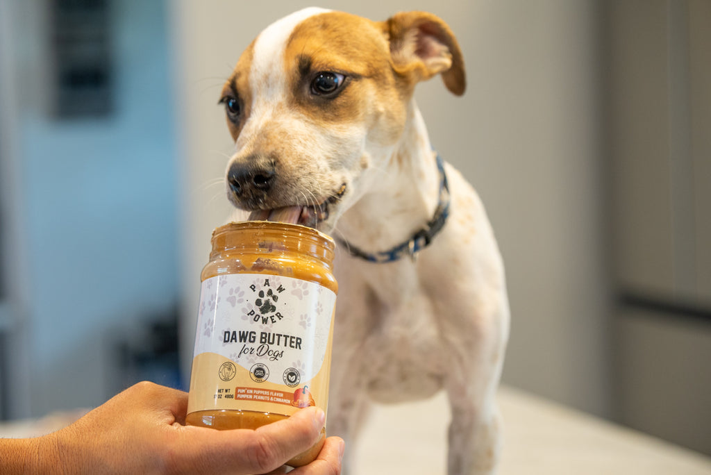 Mantequilla de Maní con Calabaza para Perros – Dawg Butter