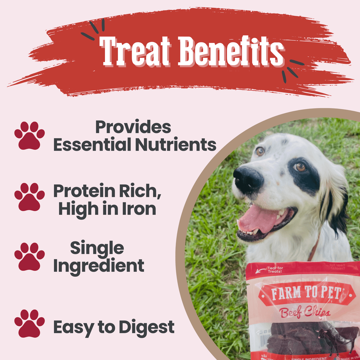 Snack Packs de Chips de Res para Perros y Gatos