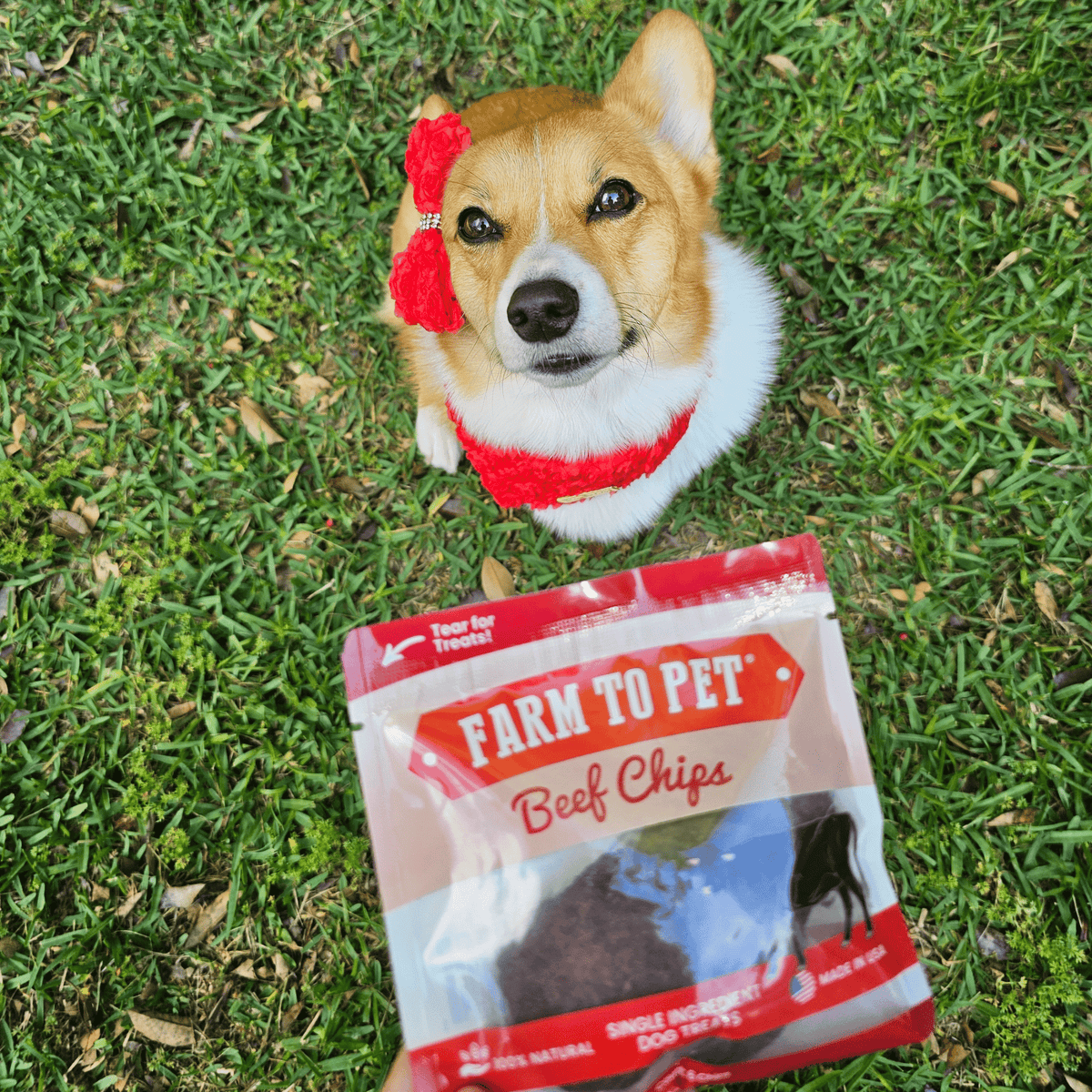 Snack Packs de Chips de Res para Perros y Gatos