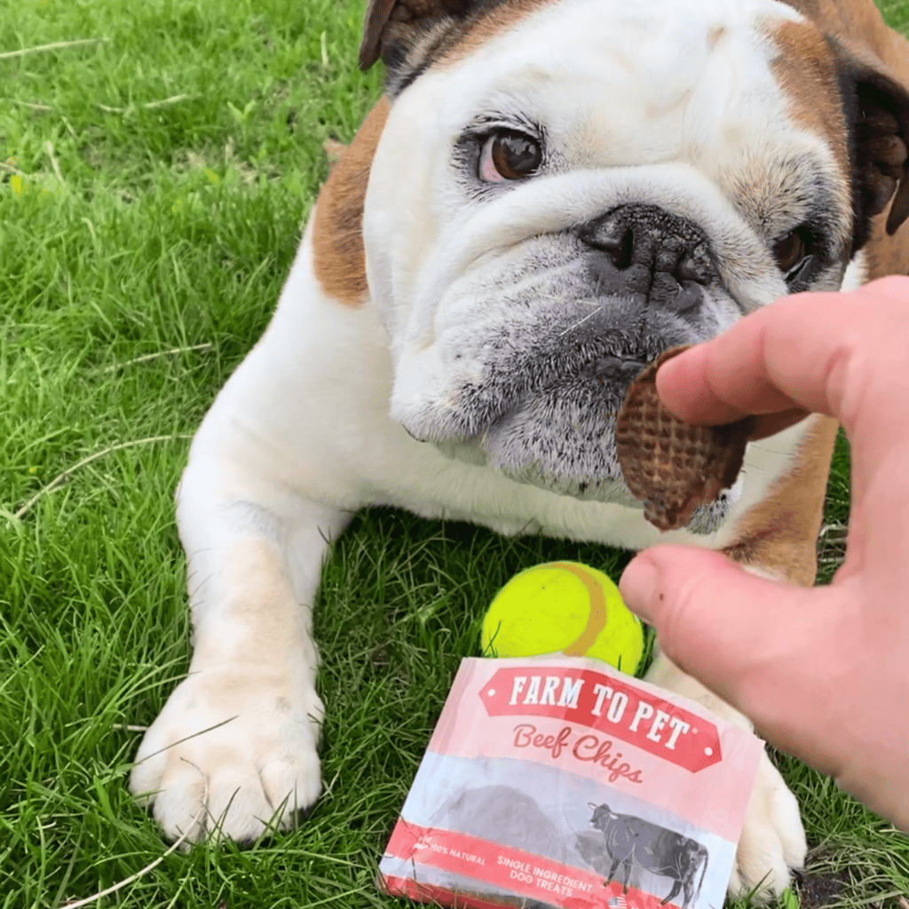 Snack Packs de Chips de Res para Perros y Gatos