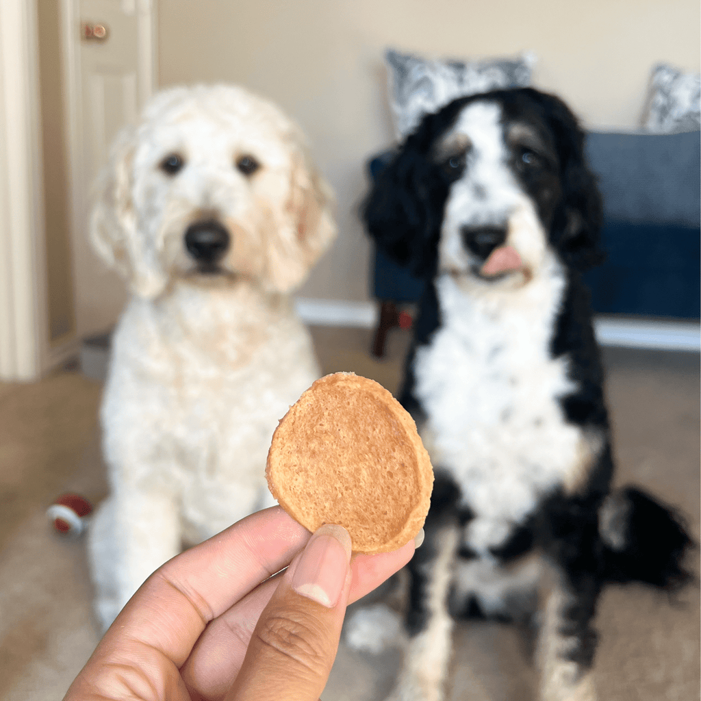 Chips de Pollo 100% Natural para Perros