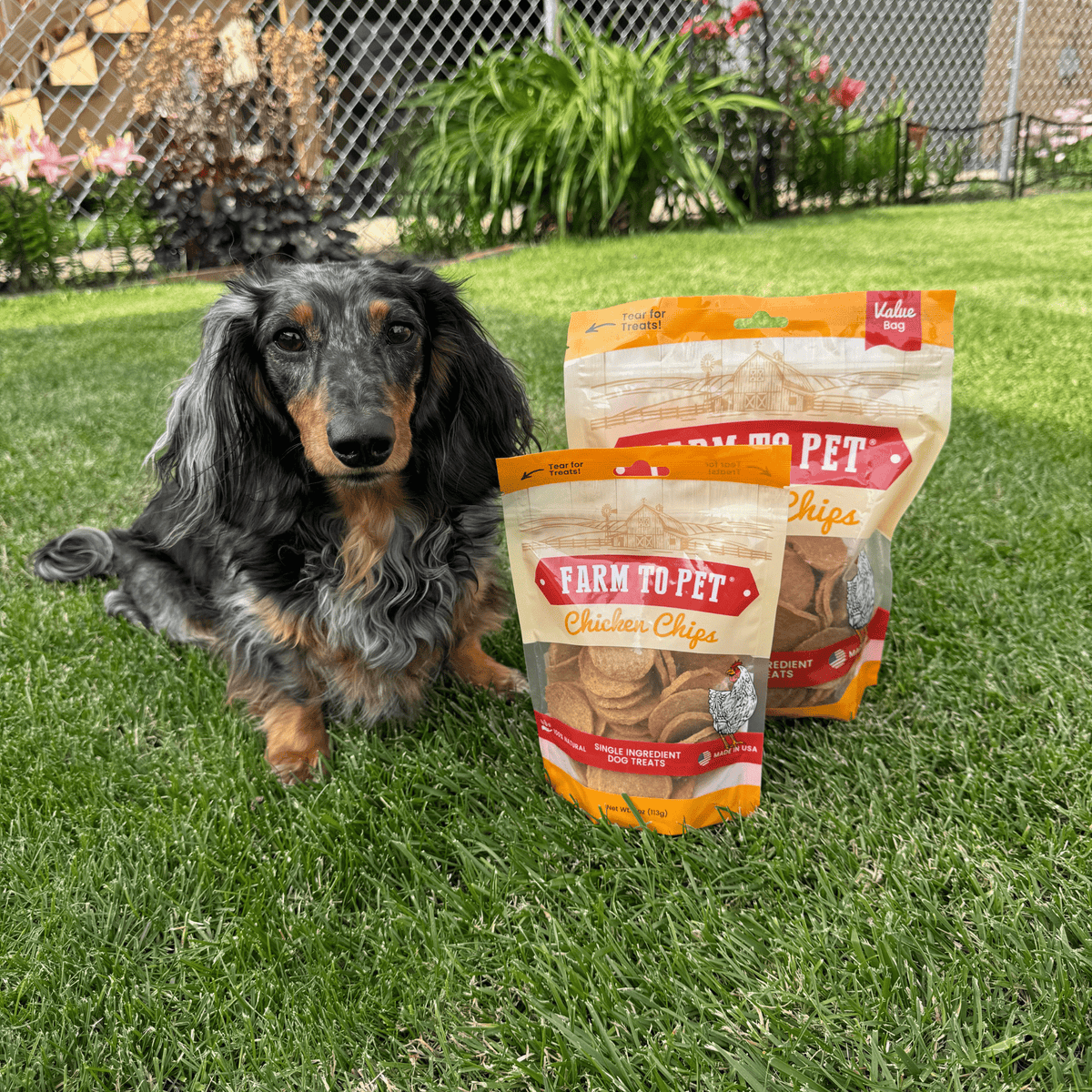 Chips de Pollo 100% Natural para Perros