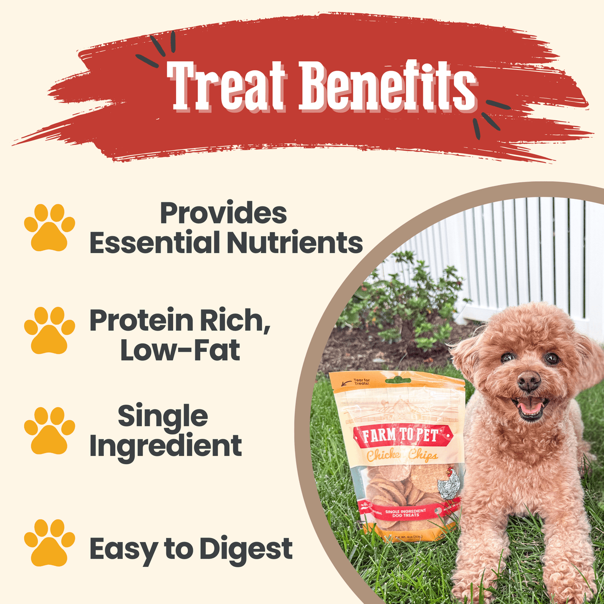 Chips de Pollo 100% Natural para Perros