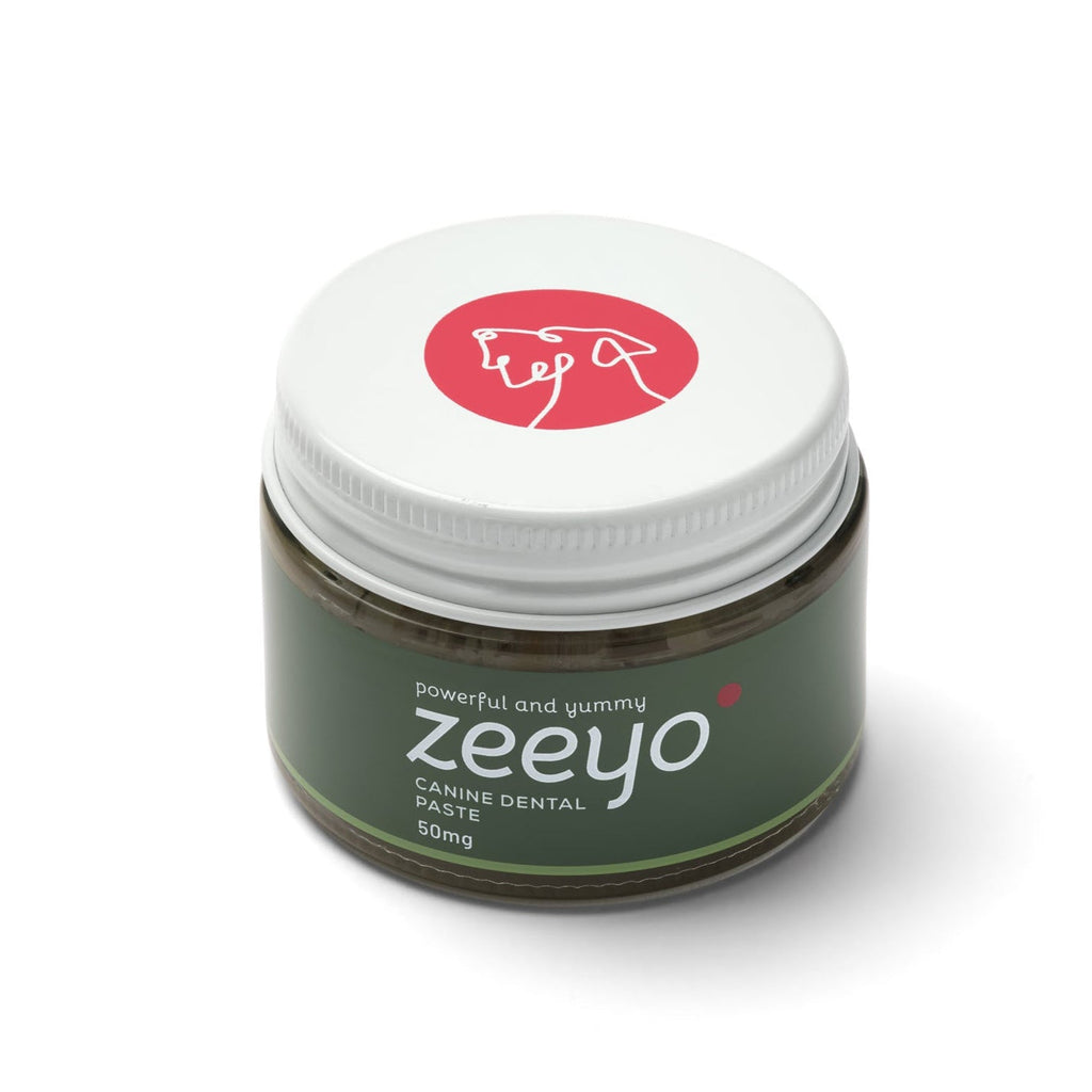 Kit Dental para Perros – Zeeyo
